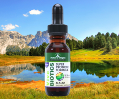 Vive Biotics Reviews $ Does This Probiotic Really Work for Gut Health?