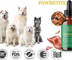 Pawbiotix Review 2025: Does This Powerful Probiotic Blend Really Support Your Dog’s Digestive System