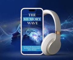 The Memory Wave Reviews Breakdown: Does This Gamma Audio Really Work or Is It a Scam?