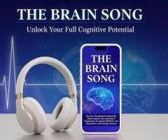 Make Brain Wellness Part of Your Daily Routine: A Coach’s Guide to Cognitive Fitness