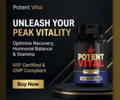 Potent Vital Reviews: Is It Legit or a Scam? What You Should Know